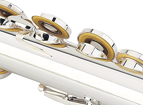 Glory Silver Plated Intermediate 16 Keys Open/Closed Hole C Flute
