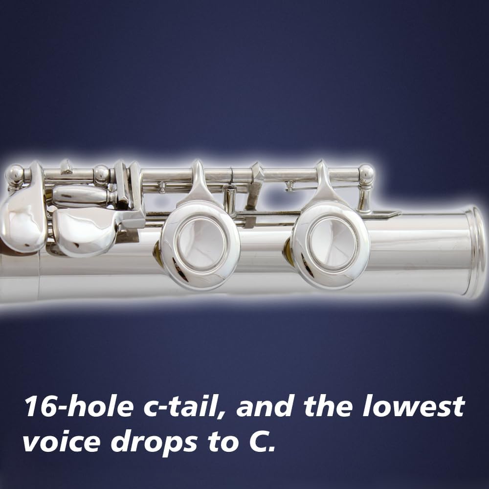 flute 16-hole closed-hole C-tone nickel-plated, beginner to play graded flute, with box and cleaning kit.