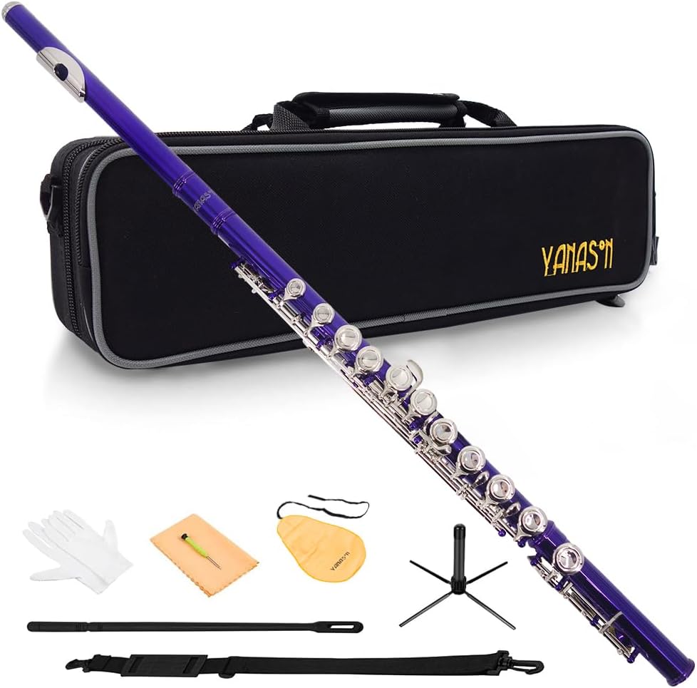 Purple C Flute Closed Hole 16 Keys Flute Nickel-Plated for Beginner, Student and Professionals with Carrying case, Metal stand, Gloves, Tuning Rod, Cleaning kit(Purple)
