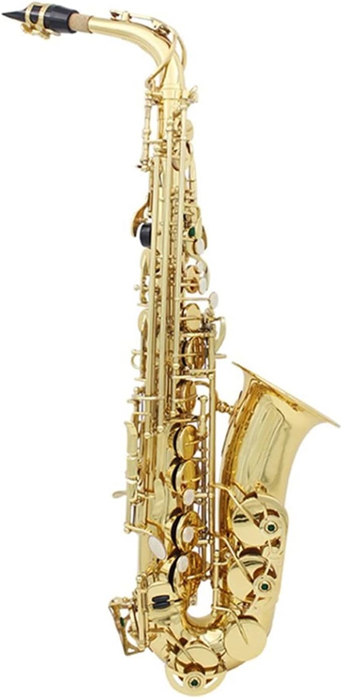 Sax Beginners Kit Brass EB Alto Saxophone Sax Lacquered Gold with Carry Case Gloves Cleaning Cloth Brush Sax Strap Mute Mouthpiece Brush Wind Instrument