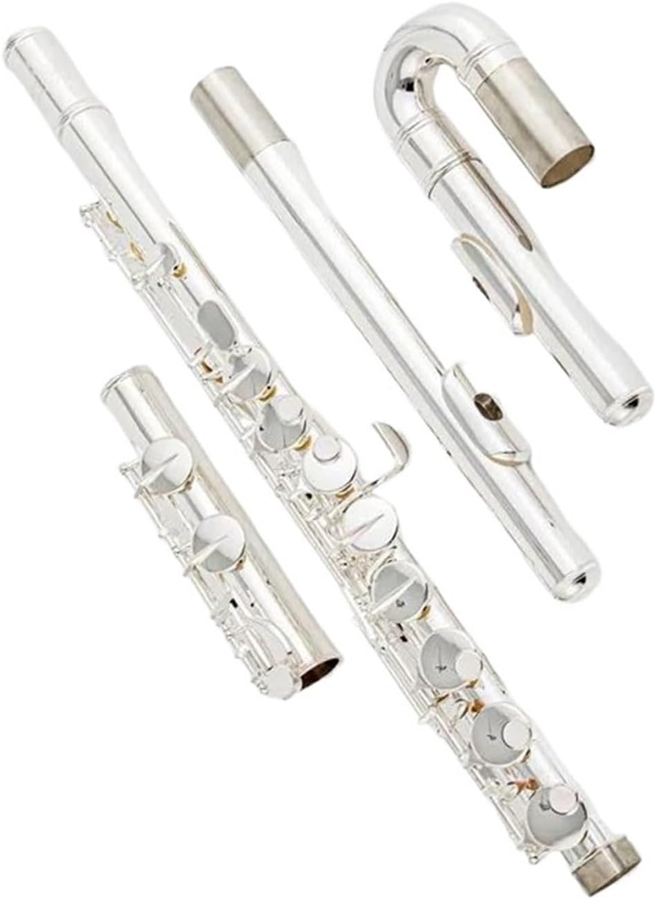 Woodwind Instruments Alto Flute G 16 Closed Hole Keys Silver Plated Instrument With Box