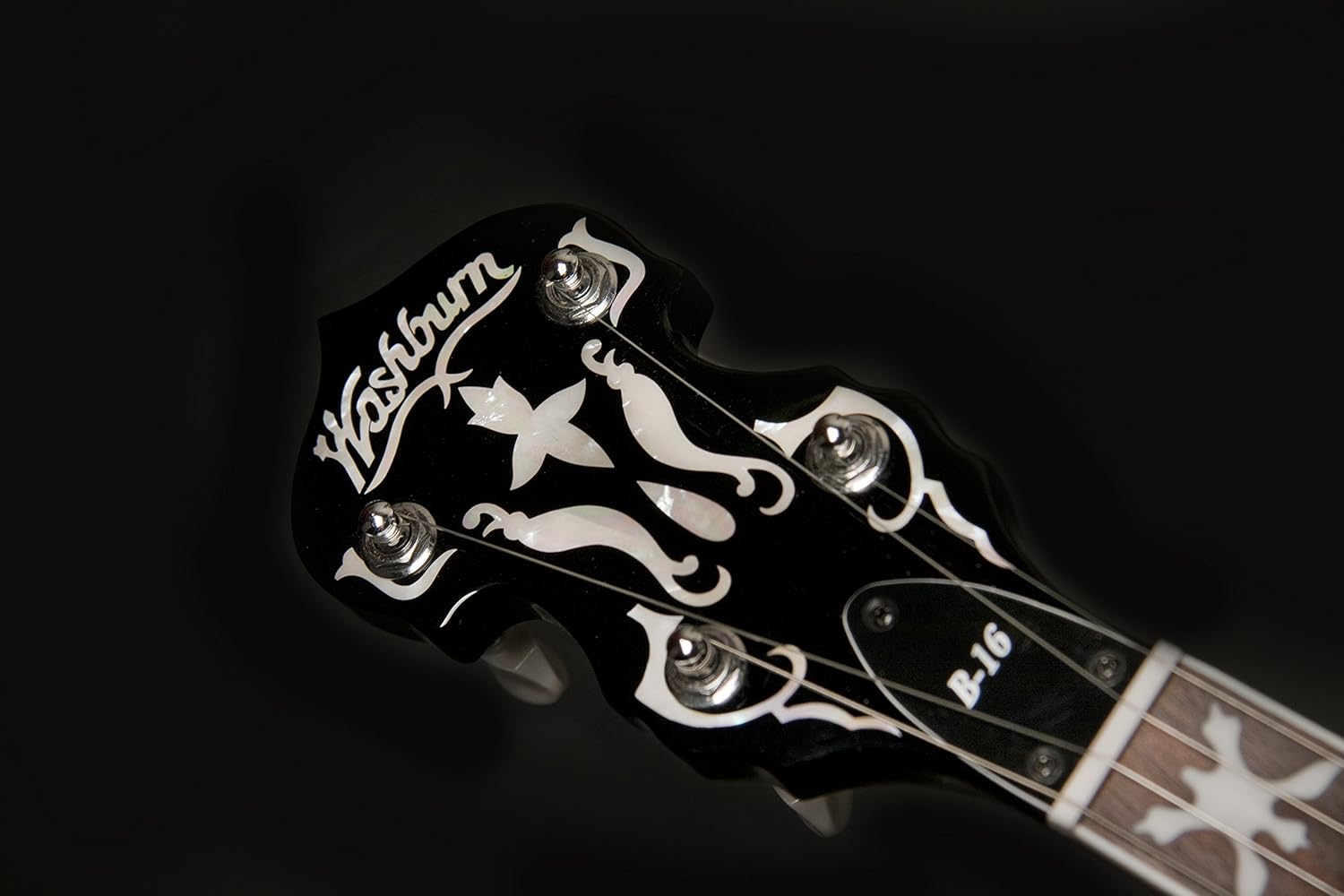 Washburn Americana Series B16K-D 5 String Banjo Sunburst