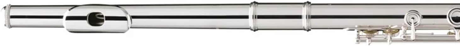 TSTS Flutes Musical Instrument Beginners Flute Instrument Silver/Gold Plating 17 Holes C Flutes Key Woodwind Instrument Padded Accessories (Color : 02)