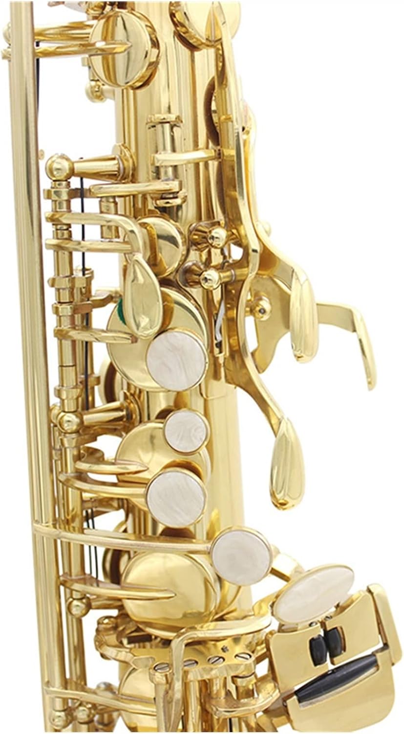 EB Alto Saxophone Brass Lacquered Gold Woodwind Instrument E Flat with Case