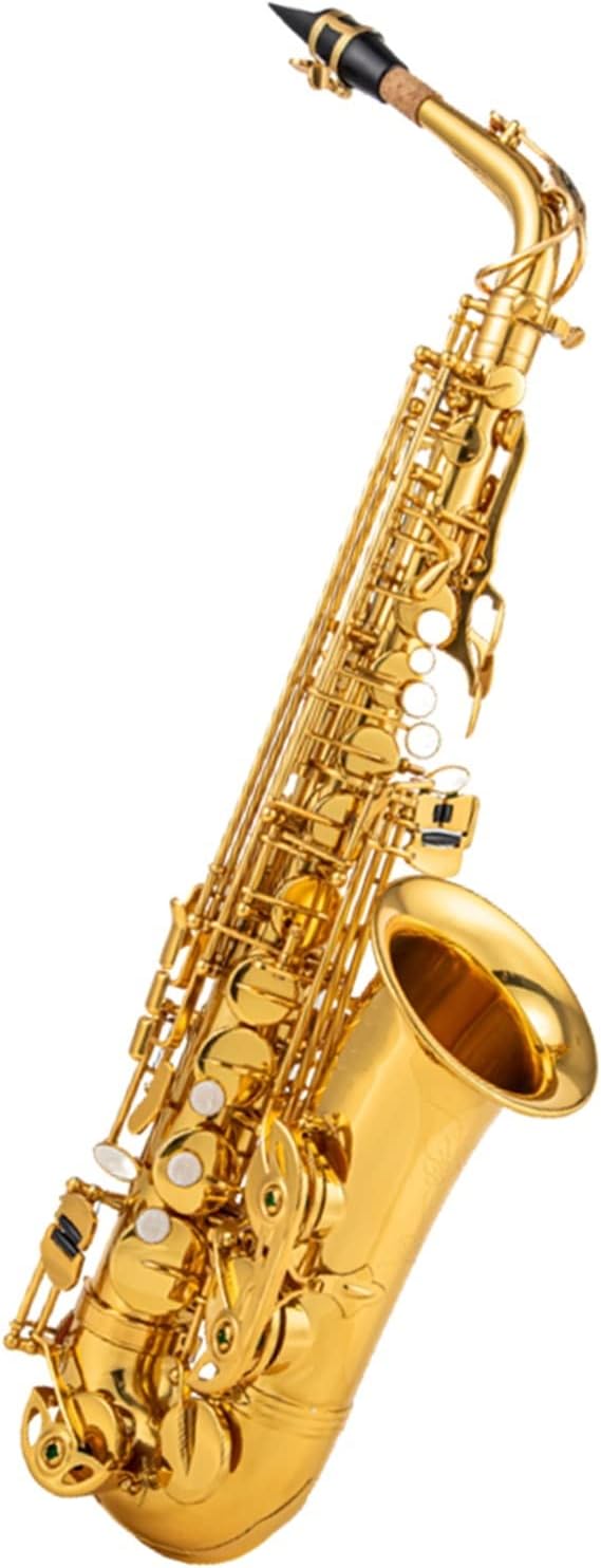 Professional Alto E Flat Saxophone Gold Alto Saxophone Woodwind Instrument with Band Mouth Piece Reed
