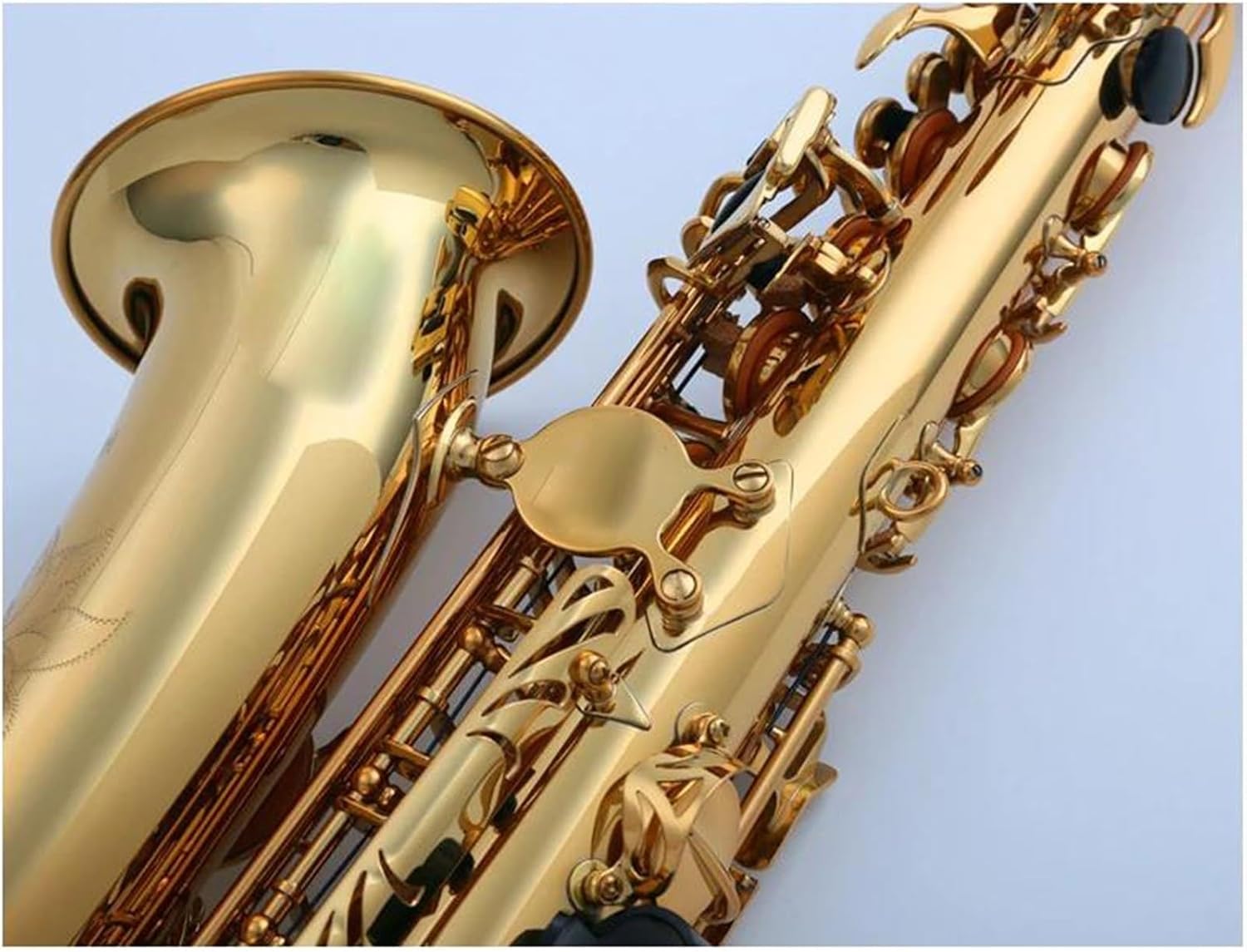 VBDEFRT Woodwind Instruments Old Lacquer Brass Professional Alto Saxophone Sax Musical Instrument (Color : Leather bag)