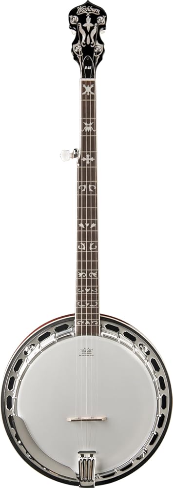 Washburn Americana Series B16K-D 5 String Banjo Sunburst