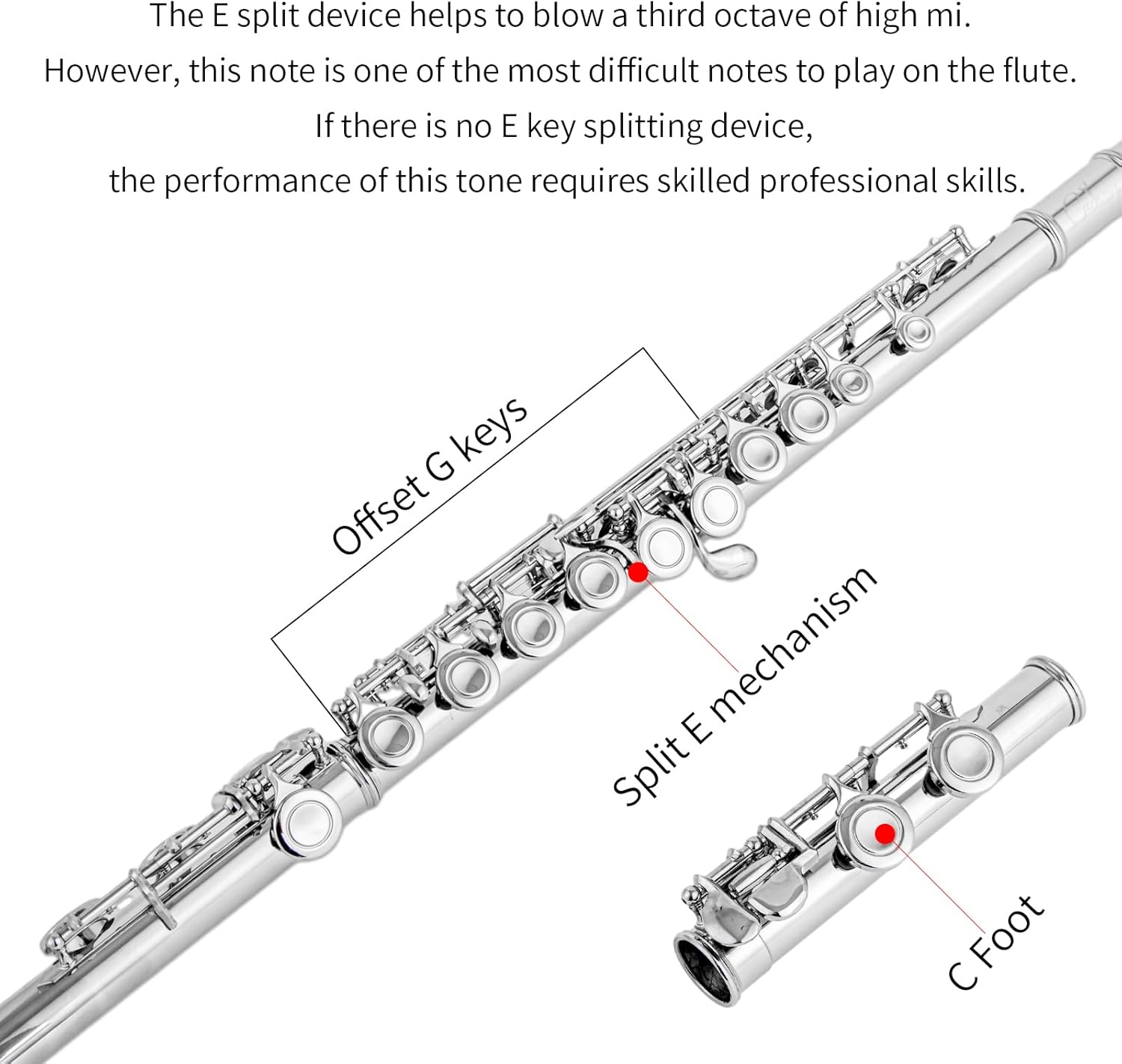 New C Flutes Closed Hole 16 Keys Flute for Beginner Flute Instrument with Cleaning Kit, Stand, Gloves, Tuning Rod,Carrying Case, Nickel (Nickel)