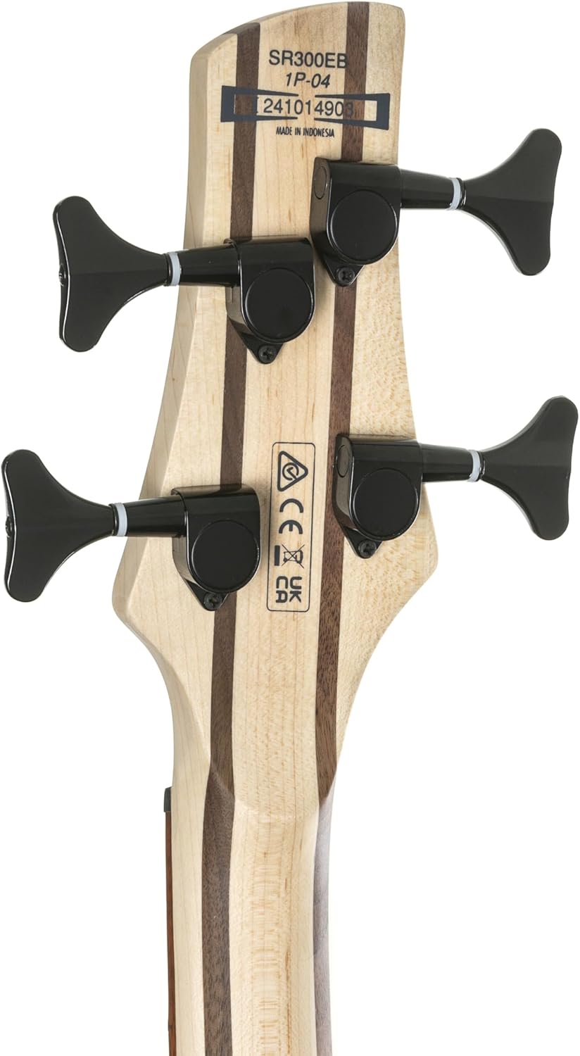 SR300EB 4-String Electric Bass Guitar (Weathered Black)