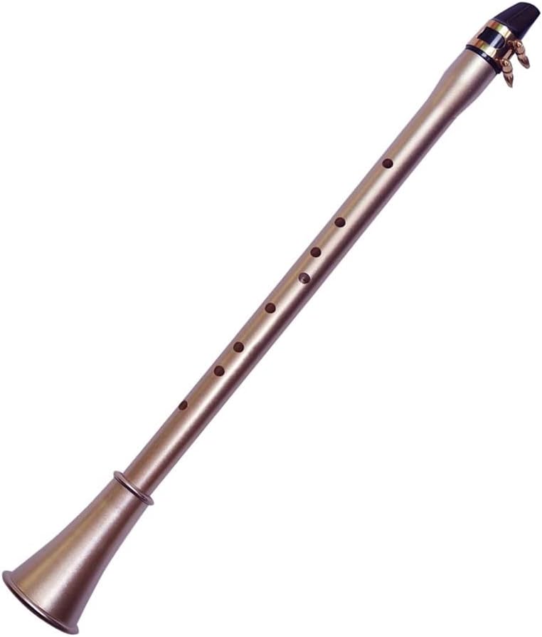 Sax Beginners Kit Pocket Saxophone ABS Sax Mini Portable Saxophone Little Saxophone with Storage Bag Training Saxophone Woodwind Instruments Wind Instrument (Color : Bb Key)