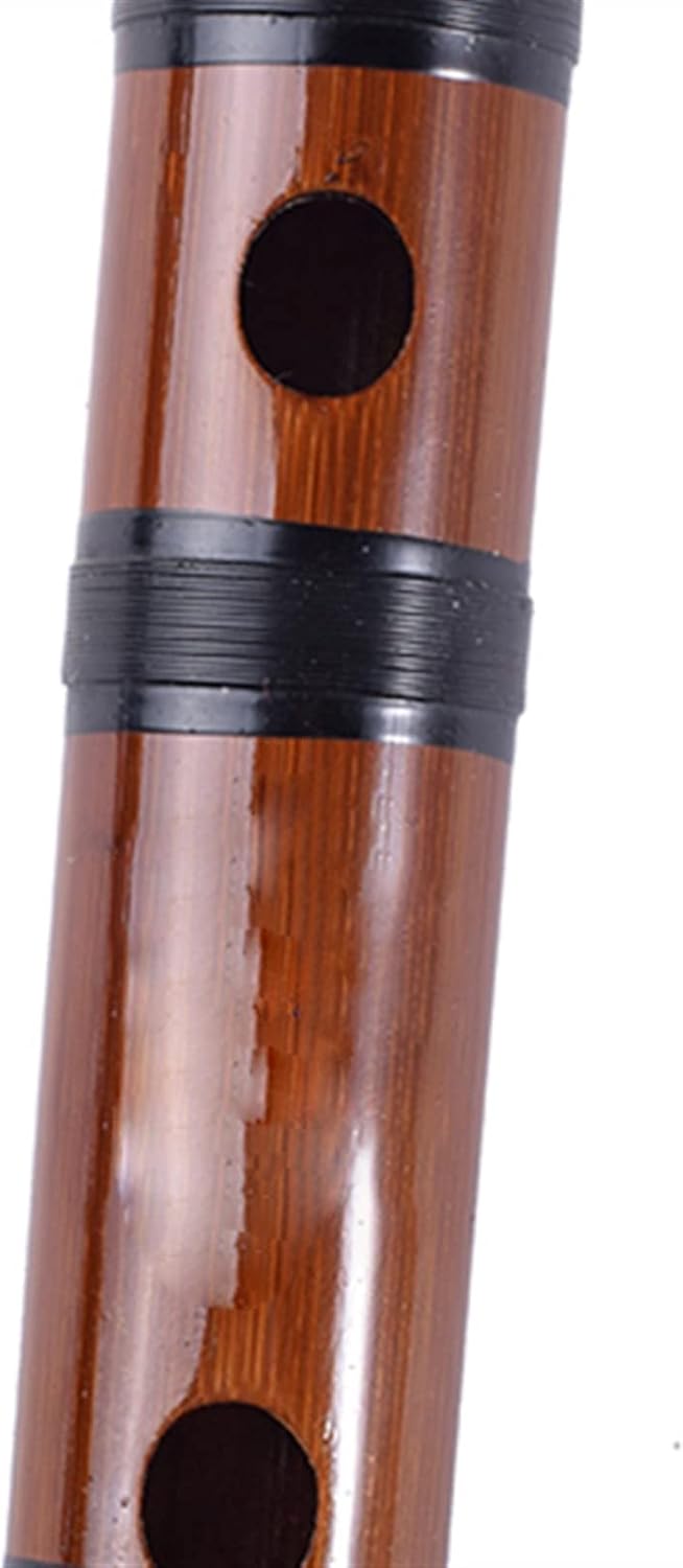 TSTS Chinese Bamboo Flute Traditional Chinese Bamboo Flute Dizi Professional Wind Musical Instruments Transverse Flute E Key with Case