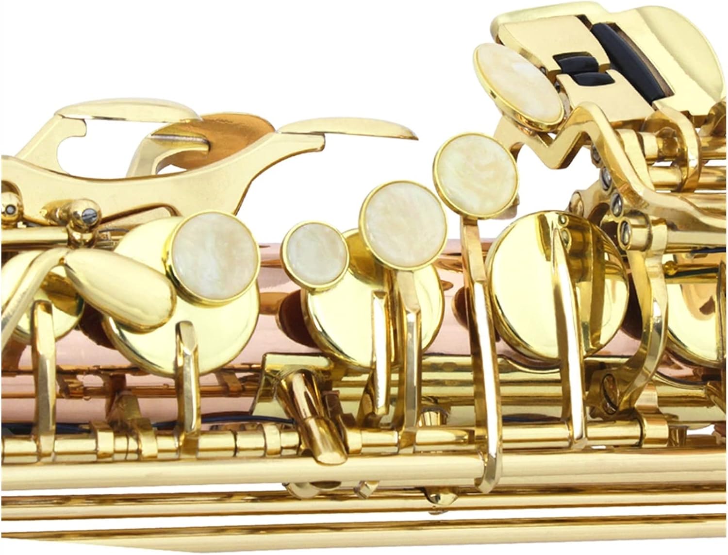 TSTS Dual-Color EB Alto Saxophone Woodwind Instrument Brass Sax Full Kit