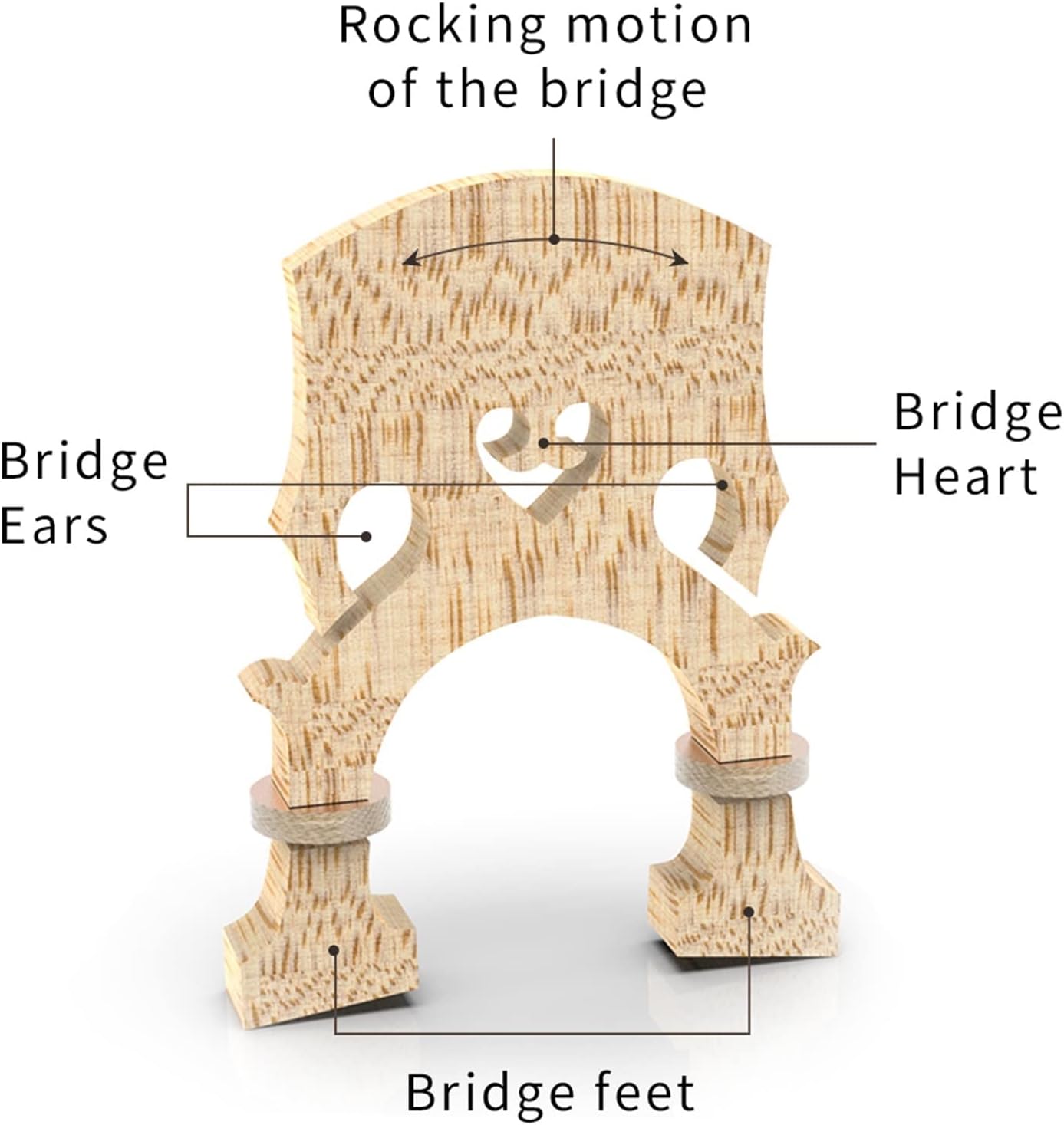 Violin Accessories Parts Adjustable 4/4 3/4 1/2 Double Bass Bridge Selected Maple Wood Bridge W/Screws for Upright Bass (Color : 4/4)