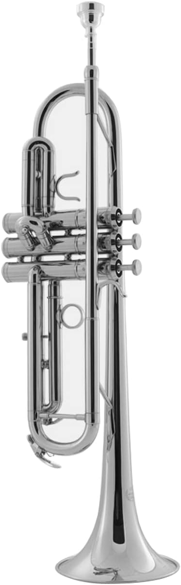 Trumpet/Bb Brass Wind Instrument, Professional Performance Band Trumpet/Horn Standard Horn Trumpet Beginner Trumpet (Silver)