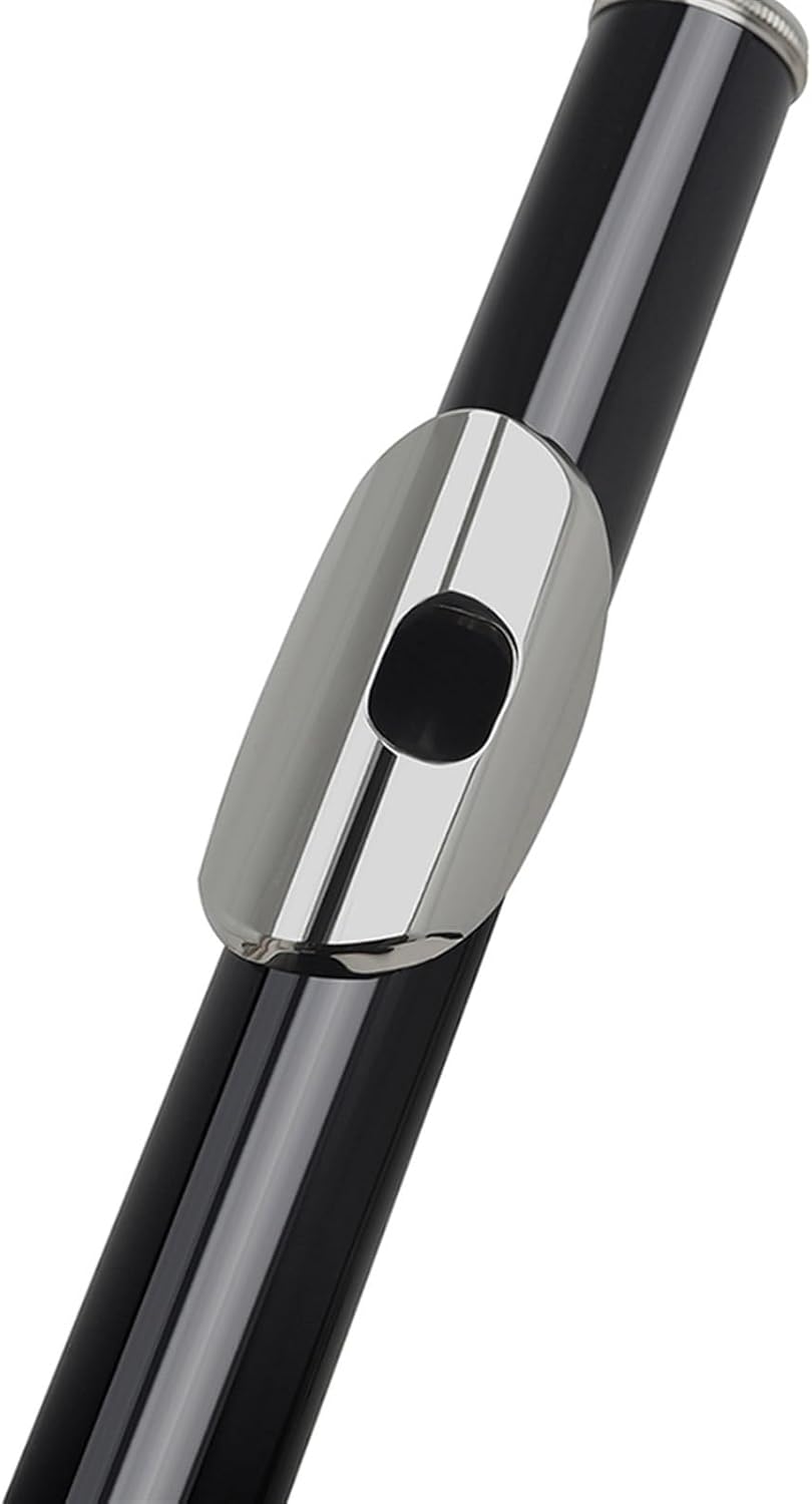 Flute Black 16 Holes Flute Woodwind Instrument Closed Key Add The E Key C Tone Nickel Plated Flute with Case Flutes Musical Instruments