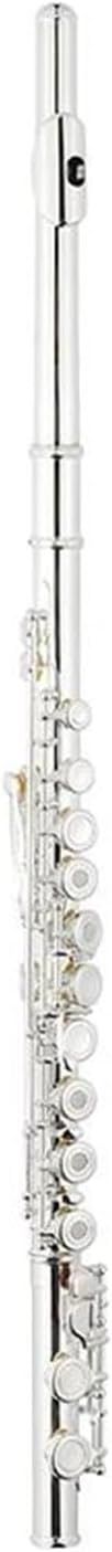 Professional Flute In Musical Instruments Wood Wind Instrument C Tone Offset 16 Holes