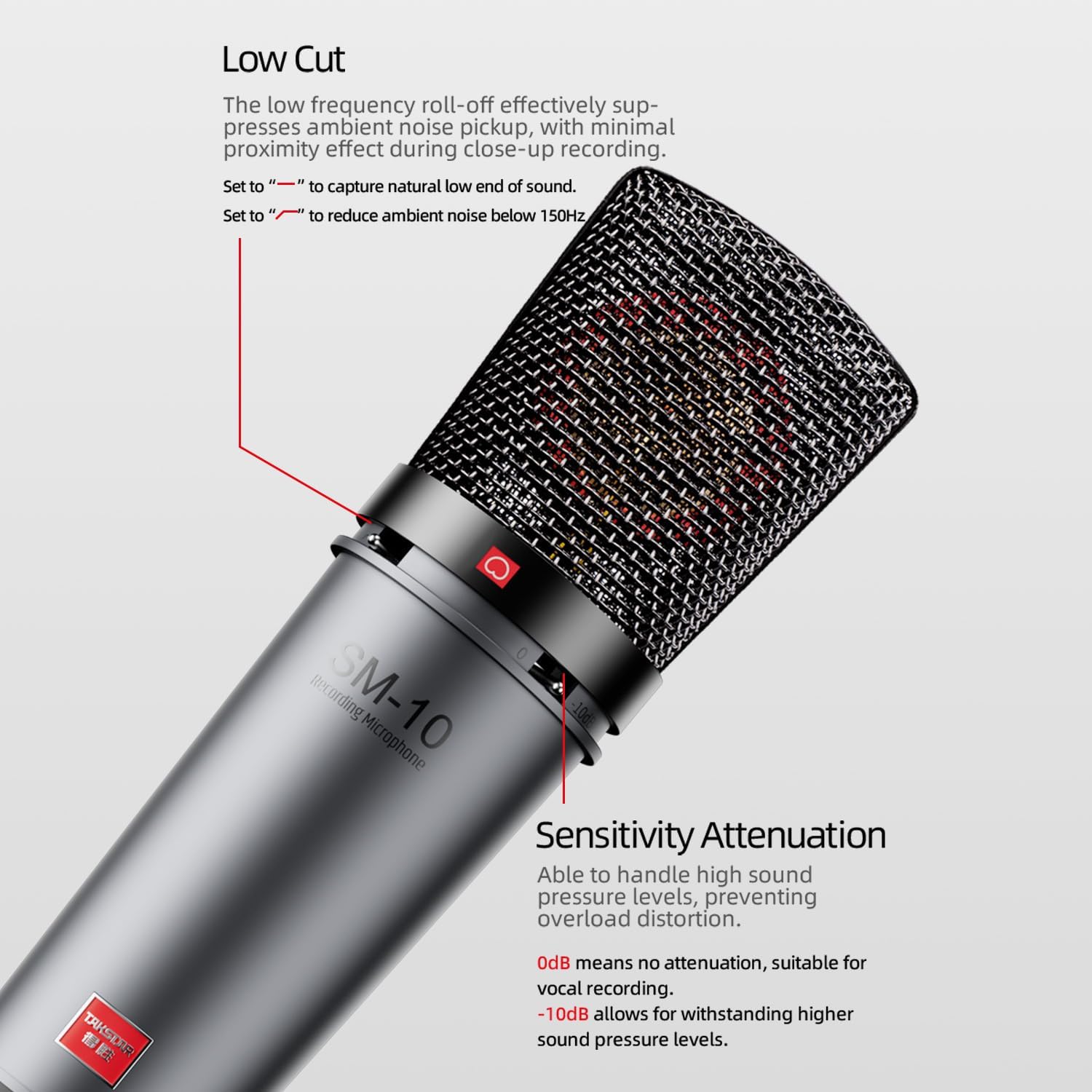 TAKSTAR XLR Cardioid Condenser Microphone, SM-10 34mm Large Diaphragm Recording Studio Microphone with Shock Mount, Perfect for Podcasting, Live-Streaming, Interview, Broadcasting, Vocal, Instrument