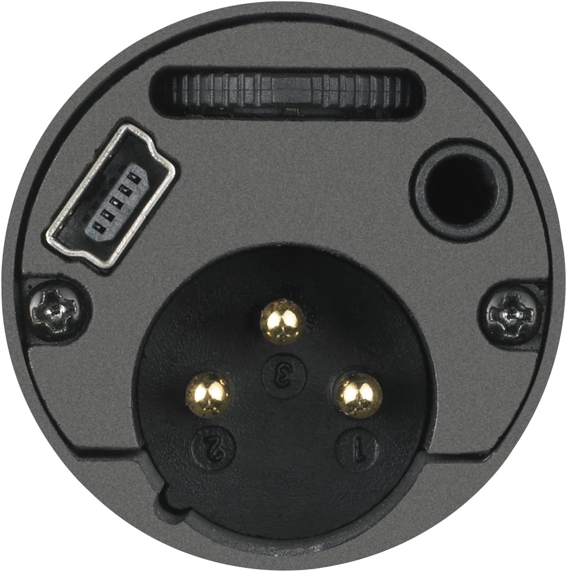 Audio-Technica AT2005USB Cardioid Dynamic USB/XLR Microphone,Black