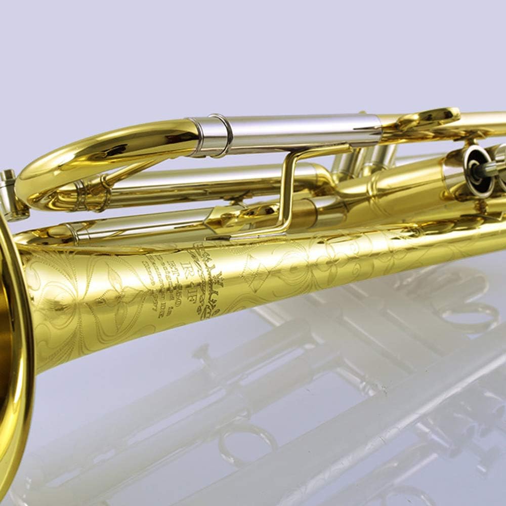 S50 beginner student level brass body gold lacquer Bb tone trumpet