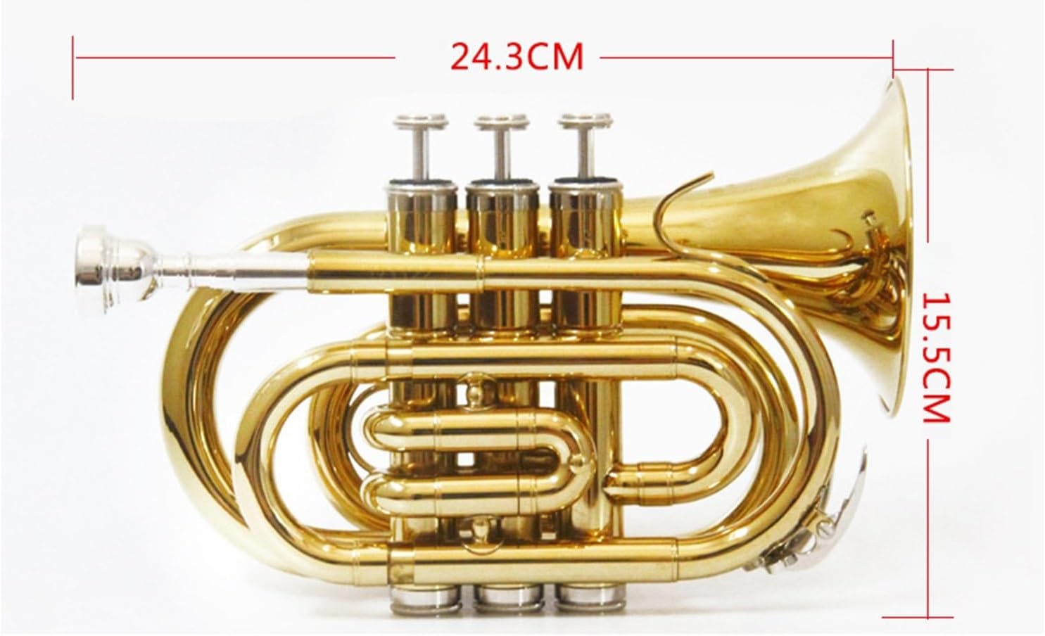 Trumpet instrument Beginner B flat Professional cornet