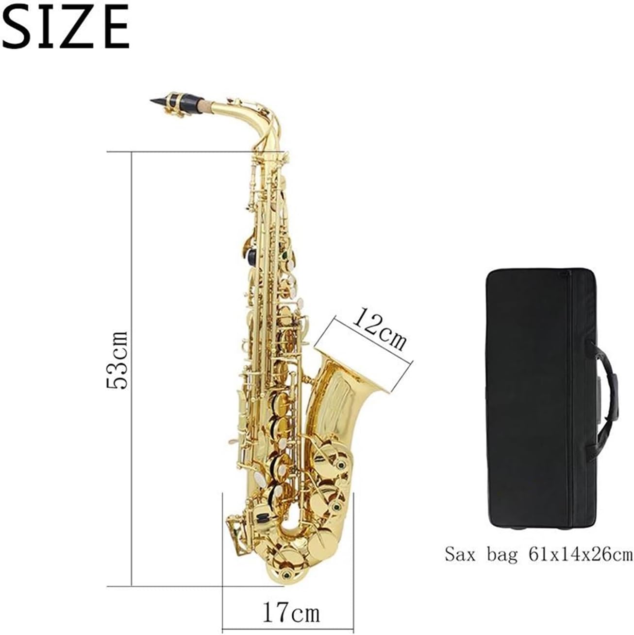 Beginner saxophone Eb Alto Saxophone Brass Gold Lacquer E Flat Sax Woodwind Musical Instrument With Case Saxophone Accessory