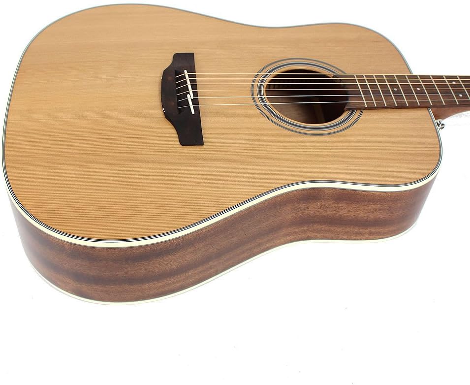 Takamine GD20-NS Dreadnought Acoustic Guitar, Natural