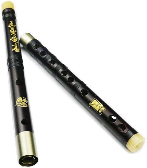 D Key Dizi Professional Rosewood Flute with Free Membrane & Glue & Protector Set Traditional Chinese Instrument (Key of D/Professional Rosewood)