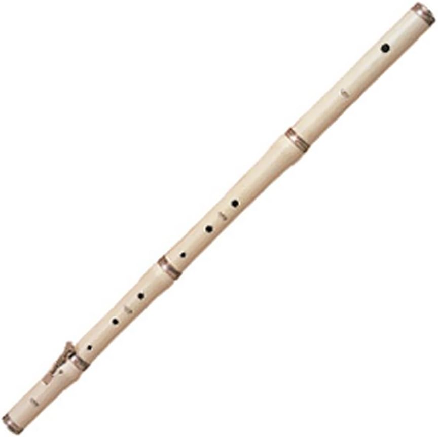 Rhythm Band School Children Musical Instruments Stanesby Jr Flute/Hard Case