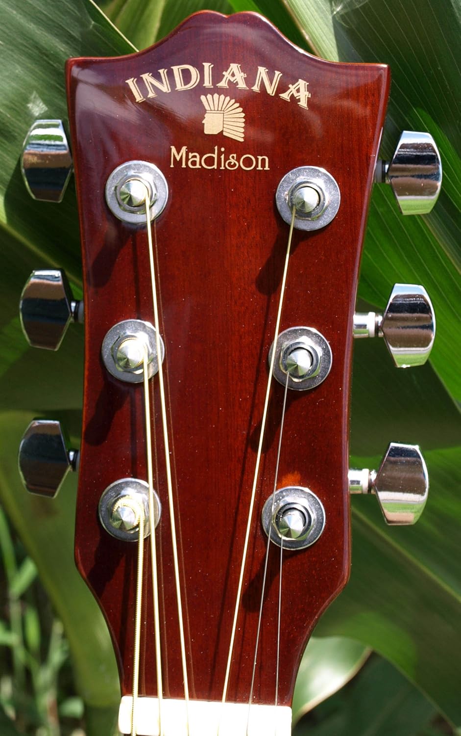 INDIANA Madison MAD-QTGR Acoustic-Electric Guitar - Green Sunburst