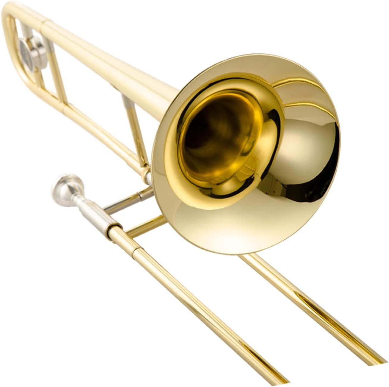 TSTS Professional Alto Trombone B Flat Gold Lacquer Brass Trombone Musical Instruments Beginner Trombone (Color : Gold)