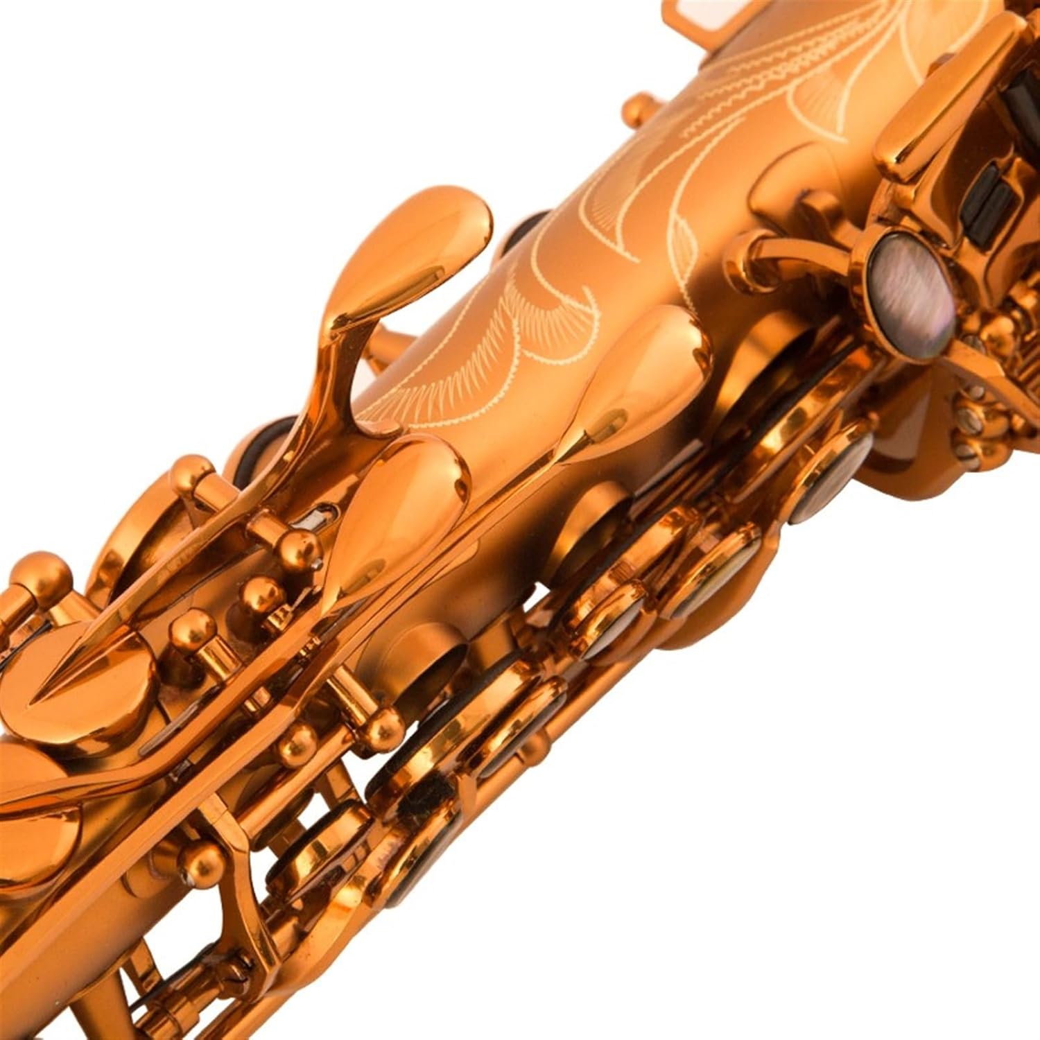 E Flat Alto Saxophone Woodwind Instrument Professional Beginners Grade Examination Matt Gold