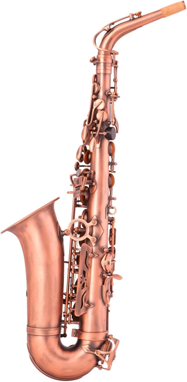 E Flat Alto Saxophone Woodwind Instrument Professional Beginners Grade Exam Matt Red