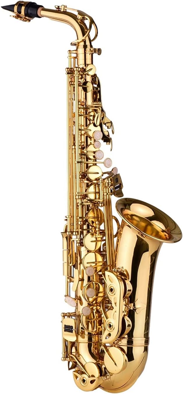 EB Alto Saxophone Brass Lacquered Alto Sax Wind Instrument with Carry Case Gloves Straps Cleaning Cloth Brush Student Saxophone