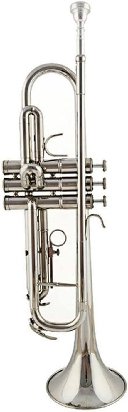 Trumpet Musical Instrument, B Flat Trumpet, Horn, Brass Musical Instrument, Student Beginner, Professional Performance Level, Children's Adult Musical Instrument