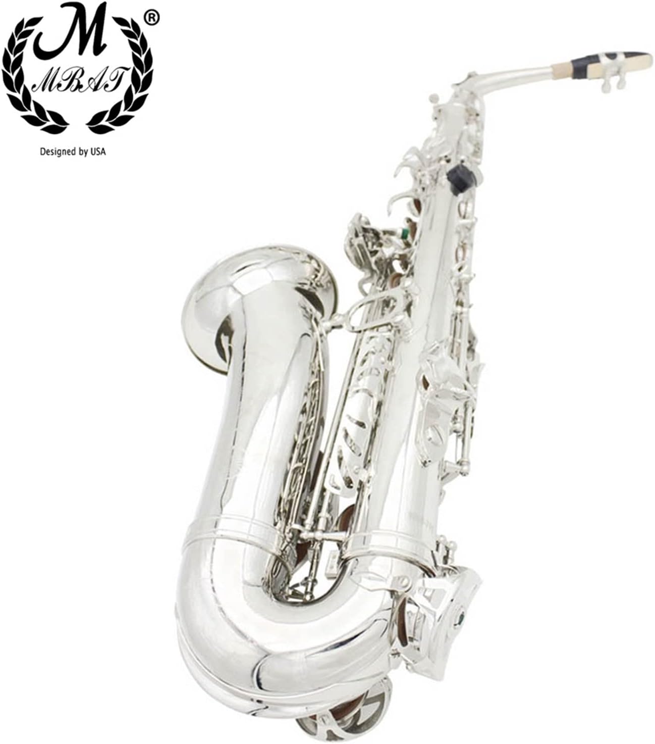 Alto Saxophone Brass Lacquer Silver EB E Flat Sax Woodwind Musical Instrument with Case Gloves Cleaning Cloth Accessories Student Saxophone