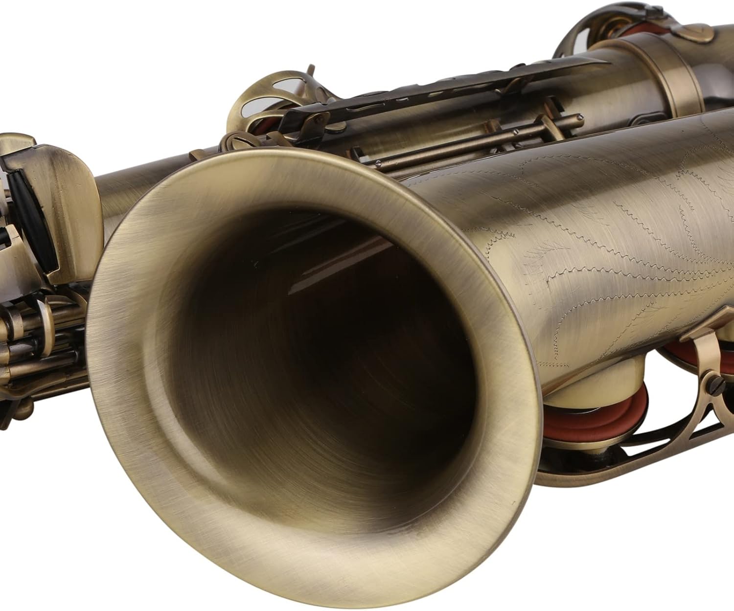 TSTS E-Flat Alto Saxophone Brass Lacquered Gold EB Sax Woodwind Music Instruments with Case Brass Sax Full Kit