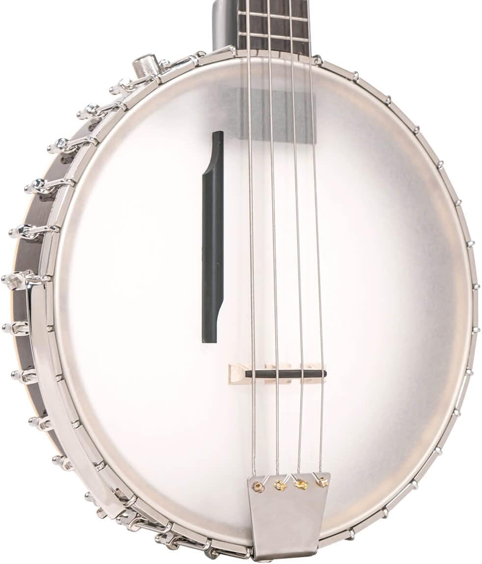 Gold Tone BB-400+ Bass Banjo (Maple),Brown