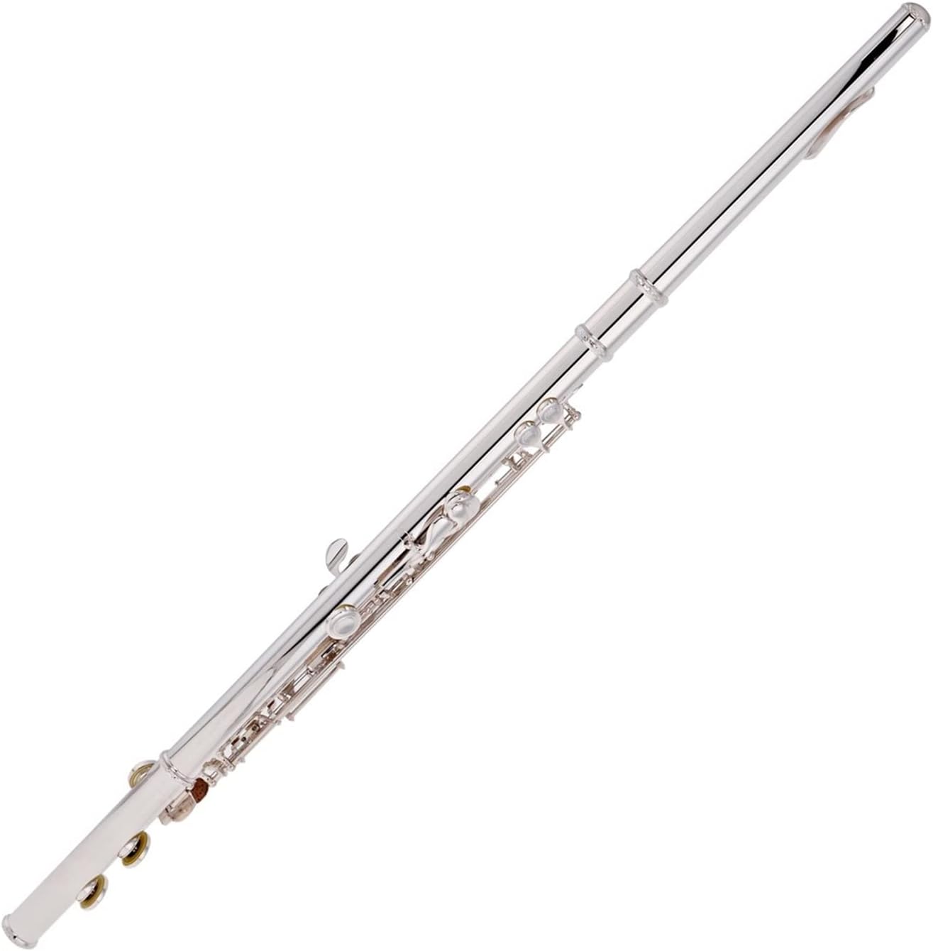 TSTS Flutes Musical Instrument Student Closed Flute Silver Riser and Lip Flute Split E and Offset G Key Beginners Wind Instrument