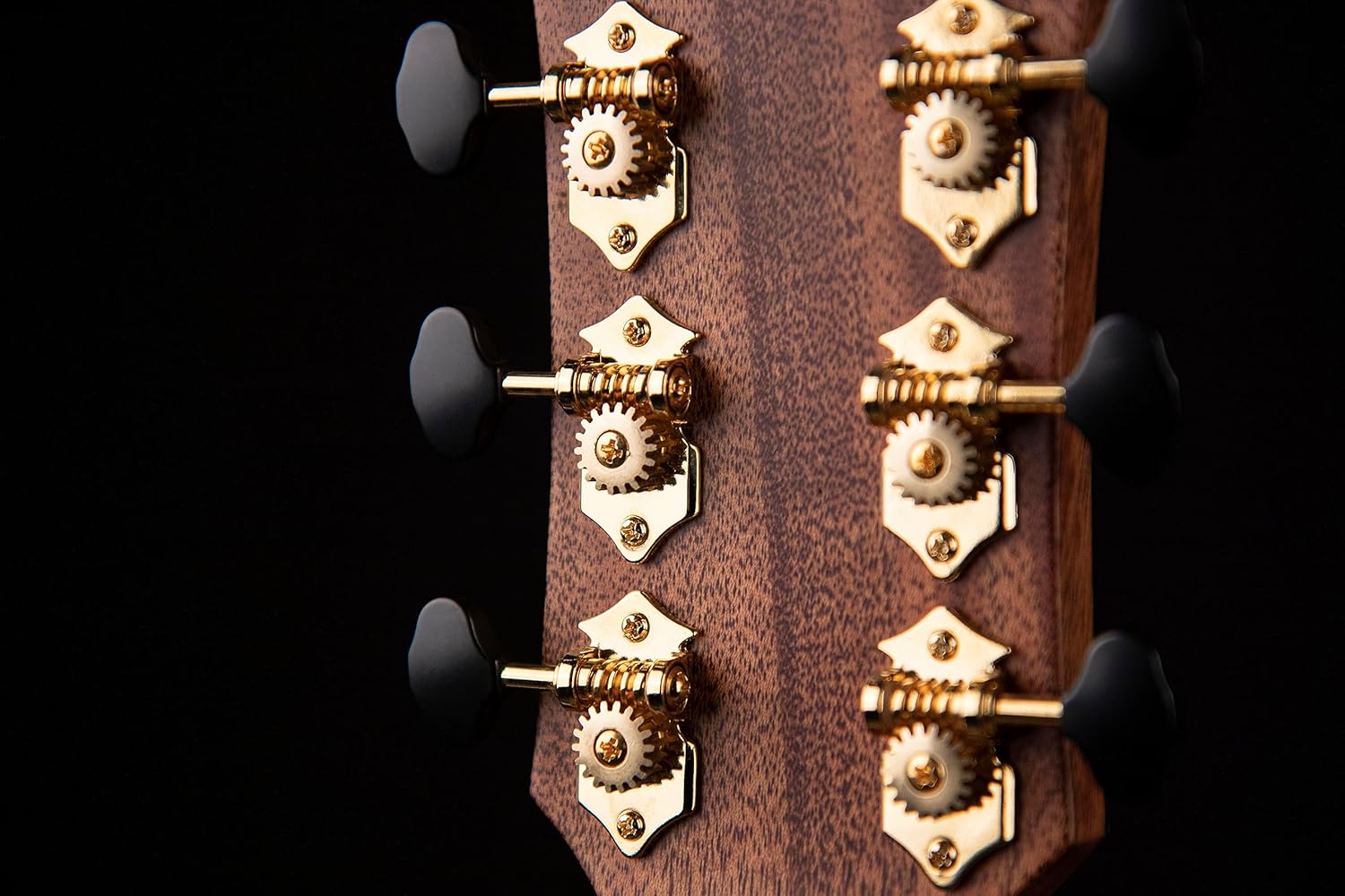 Cort Gold Series Gold Edge Acoustic-Electric Guitar, Natural Glossy