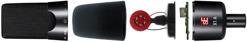 sE Electronics X1 A Large-Diaphragm Condenser Microphone Bundle w/Pig Hog PHM10 8mm Mic Cable Polishing Cloth