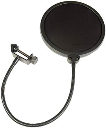 sE Electronics SE2200 Large-Diaphragm Condenser Microphone Bundle with Shockmount, Pop Screen Filter and 2 10ft XLR Cables