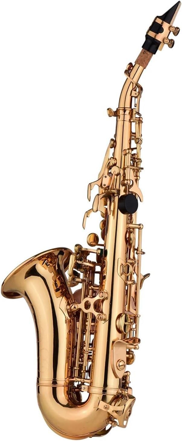 VBDEFRT Bb Treble Saxophone Sax With Carry Case Reeds Strap Brass Material Gold Laquer Surface Woodwind Instrument