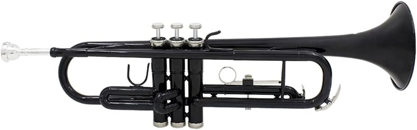 FLFL Student Trumpet Bb B Flat Trumpet Brass with Mouthpiece Carry Bag Tuner Mute Trumpet Stand Gloves Cleaning Tools Wind Instrument (Color : Dark Black)
