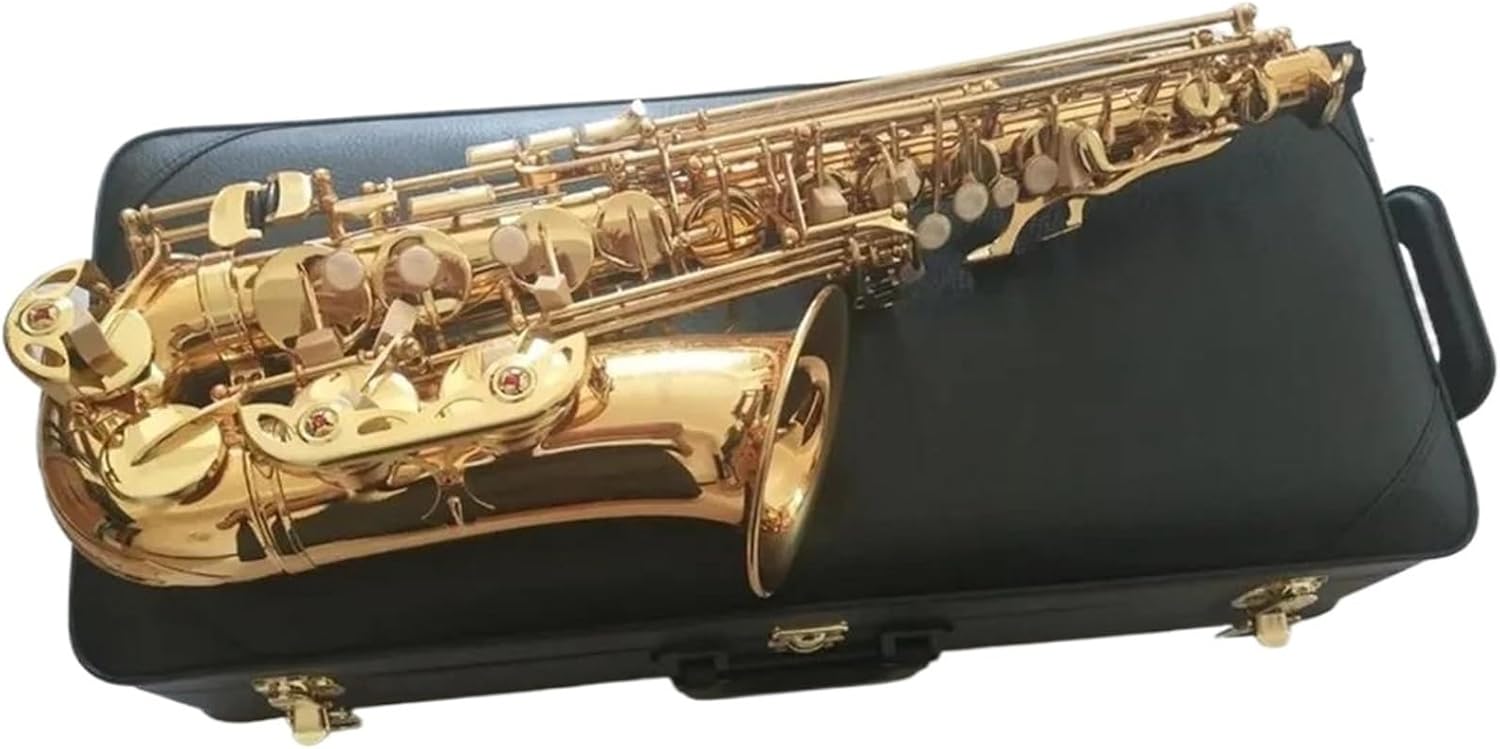Alto Saxophone Eb Tune Brass Lacquer Gold Gold Woodwind Instruments With Accessories Case (Color : .MULTI)