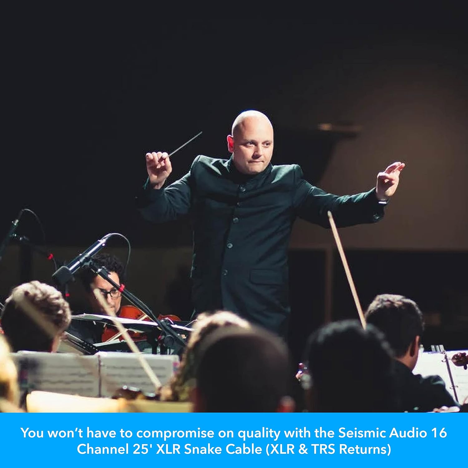 Seismic Audio - 16 Channel 25' Pro Stage XLR Snake Cable (XLR 1/4