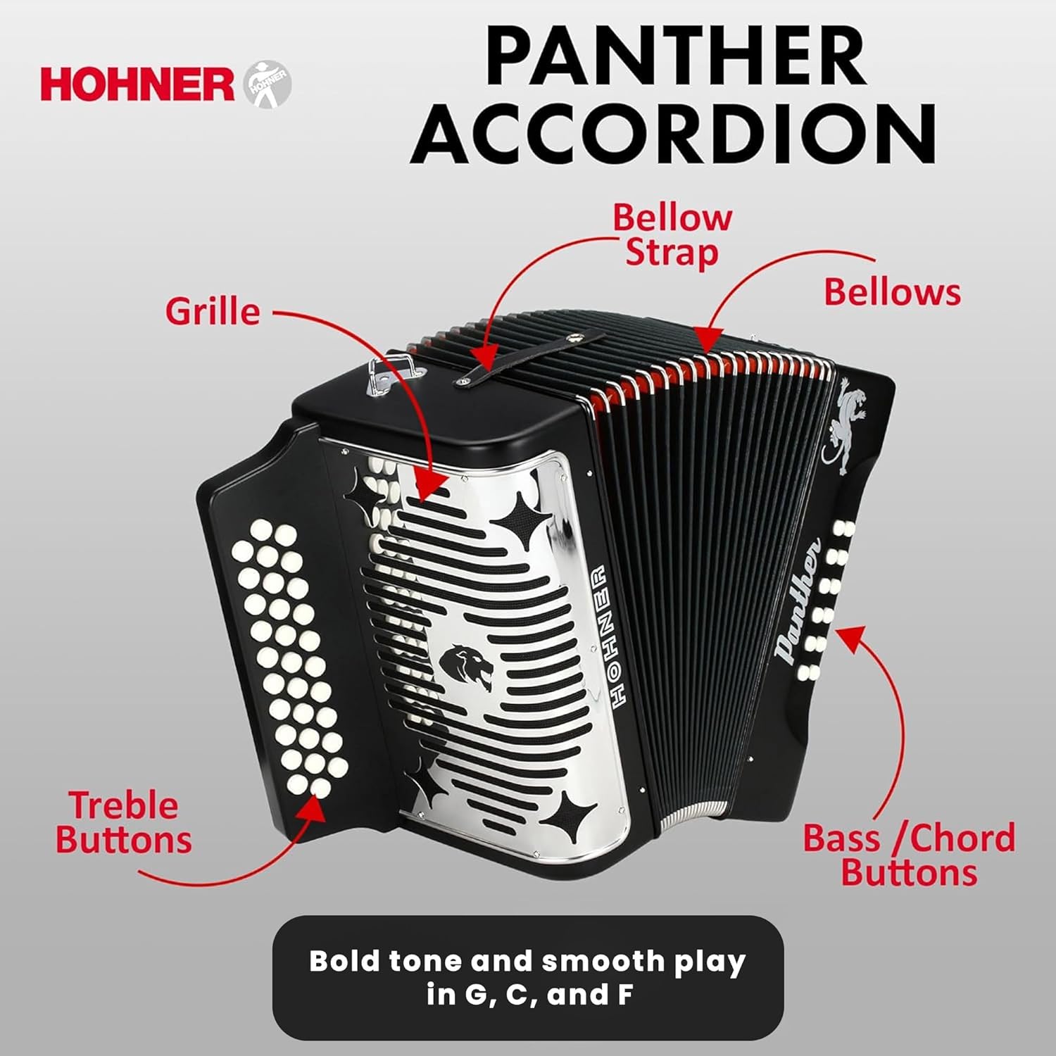 Hohner Panther Diatonic Accordion - Keys G/C/F Bundle with Gig Bag and Austin Bazaar Polishing Cloth