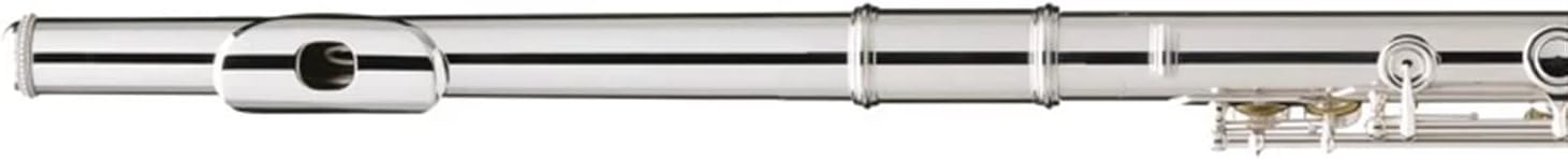 Flute Musical Instrument Western Concert Flute Silver Plating 17 Holes C Flutes Key Woodwind Instrument Mini Screwdriver Padded Starter Flute (Color : Silver)
