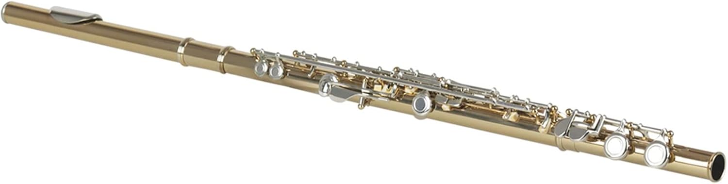 Flutes 16 Hole Flute Golden Silver Key Flute with Storage Box Accessories Woodwind Musical Instrument