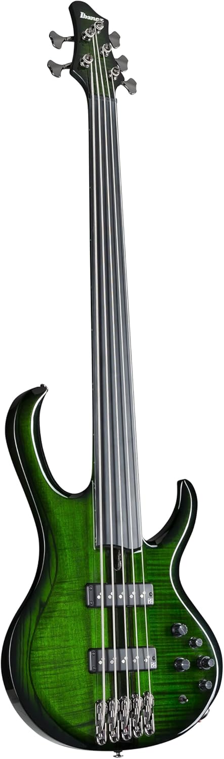 Ibanez Steve Di Giorgio SDGB1 Signature 5-string Fretless Bass Guitar - Dark Moss Burst