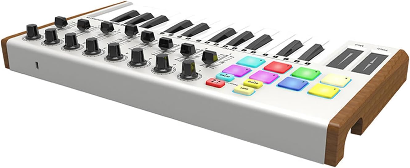 25 Key MIDI Keyboard Pad Controller, USB 2.0 Plug and Play, Win10/8/7/XP, OSX, , Compact and Portable